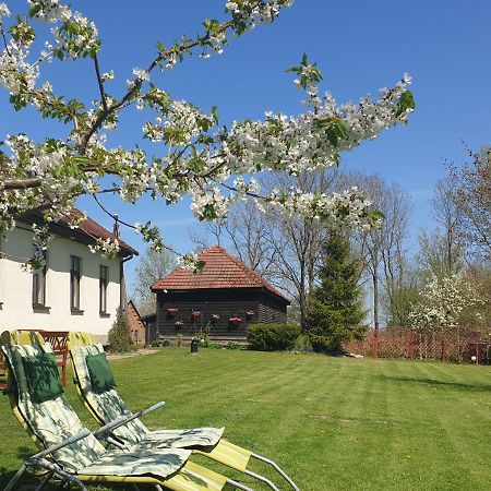 Bed and Breakfast Folwark Goscino-Dwor Exterior foto
