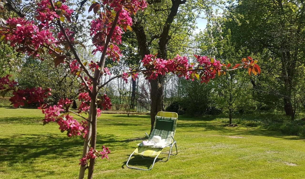 Bed and Breakfast Folwark Goscino-Dwor Exterior foto